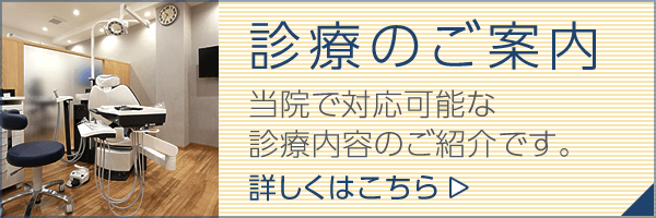 診療のご案内|当院で対応可能な診療内容のご紹介です。詳しくはこちら